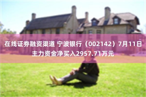 在线证劵融资渠道 宁波银行（002142）7月11日主力资金净买入2957.71万元