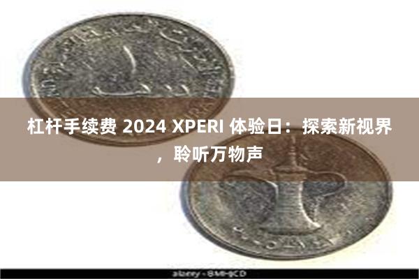 杠杆手续费 2024 XPERI 体验日：探索新视界，聆听万物声