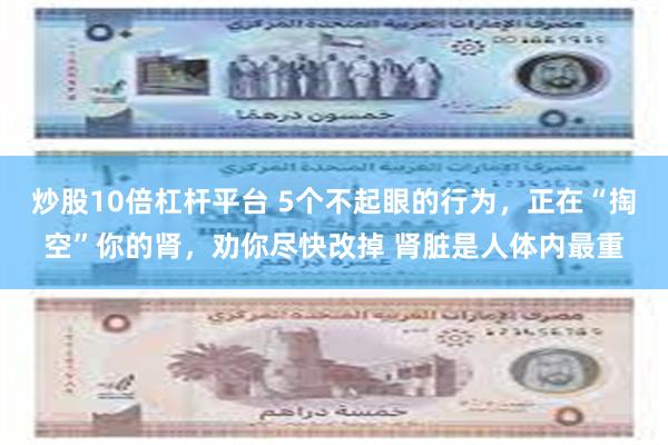 炒股10倍杠杆平台 5个不起眼的行为，正在“掏空”你的肾，劝你尽快改掉 肾脏是人体内最重