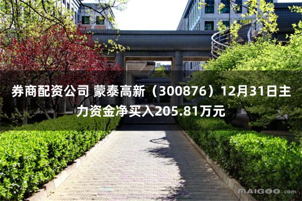 券商配资公司 蒙泰高新（300876）12月31日主力资金净买入205.81万元